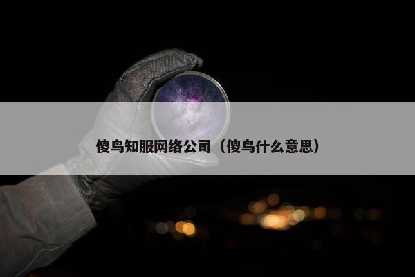傻鸟知服网络公司（傻鸟什么意思）