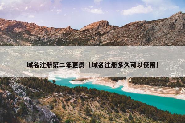 域名注册第二年更贵（域名注册多久可以使用）