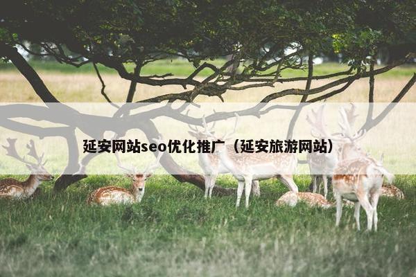 延安网站seo优化推广（延安旅游网站）