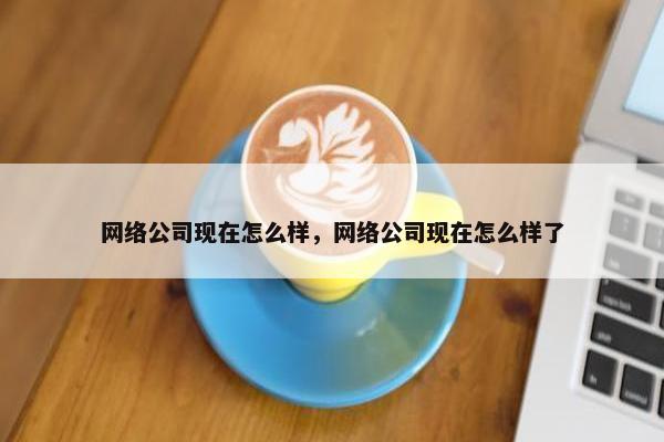 网络公司现在怎么样，网络公司现在怎么样了