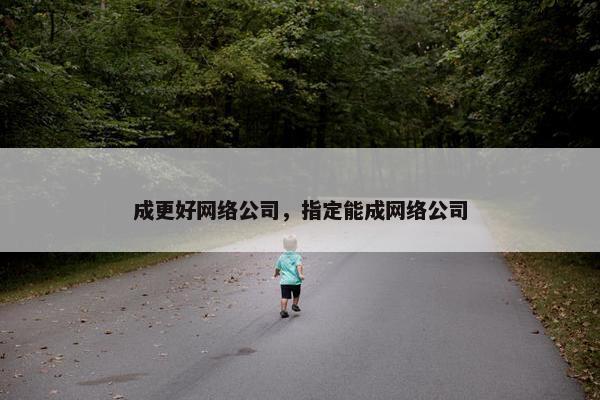 成更好网络公司，指定能成网络公司
