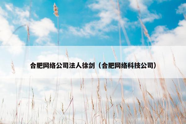 合肥网络公司法人徐剑（合肥网络科技公司）