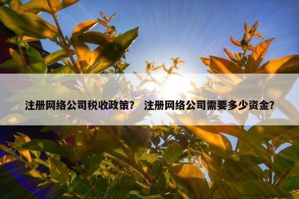 注册网络公司税收政策？ 注册网络公司需要多少资金？