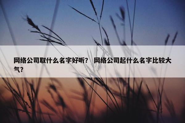 网络公司取什么名字好听？ 网络公司起什么名字比较大气？