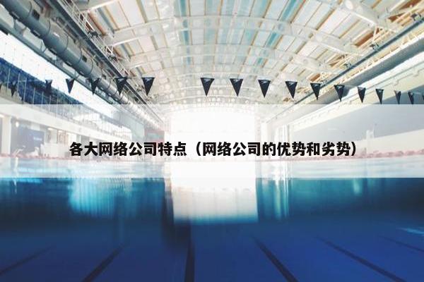 各大网络公司特点（网络公司的优势和劣势）