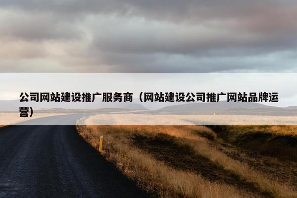 公司网站建设推广服务商（网站建设公司推广网站品牌运营）