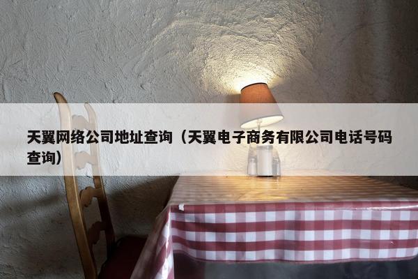 天翼网络公司地址查询（天翼电子商务有限公司电话号码查询）