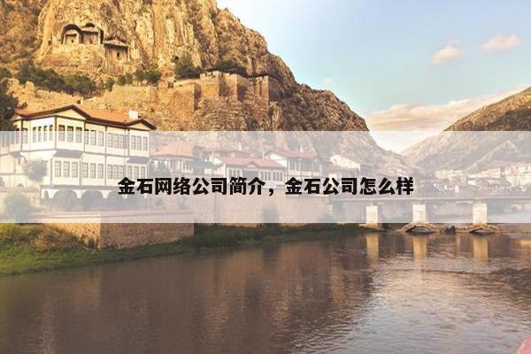 金石网络公司简介，金石公司怎么样
