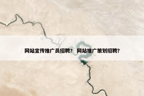 网站宣传推广员招聘？ 网站推广策划招聘？