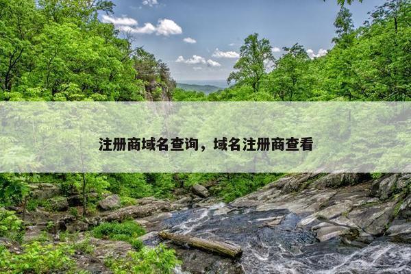 注册商域名查询，域名注册商查看