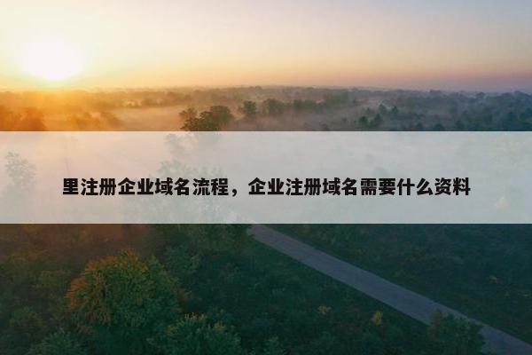 里注册企业域名流程，企业注册域名需要什么资料