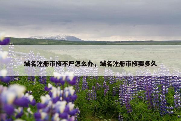 域名注册审核不严怎么办，域名注册审核要多久