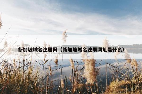 新加坡域名注册网（新加坡域名注册网址是什么）