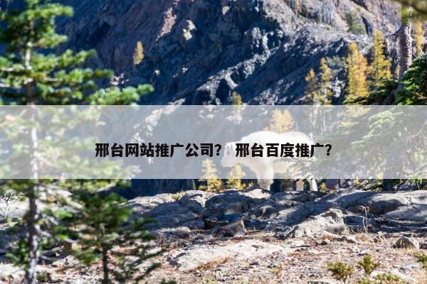 邢台网站推广公司？ 邢台百度推广？