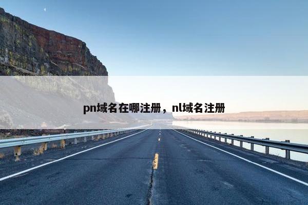 pn域名在哪注册，nl域名注册