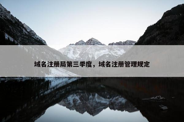 域名注册局第三季度，域名注册管理规定