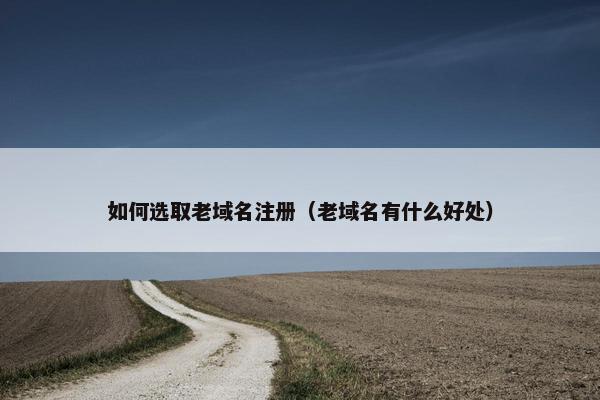 如何选取老域名注册（老域名有什么好处）