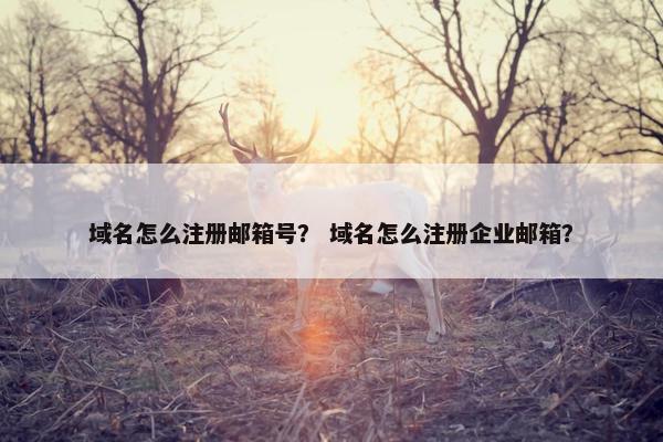 域名怎么注册邮箱号？ 域名怎么注册企业邮箱？