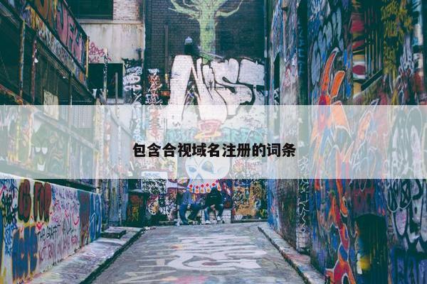 包含合视域名注册的词条
