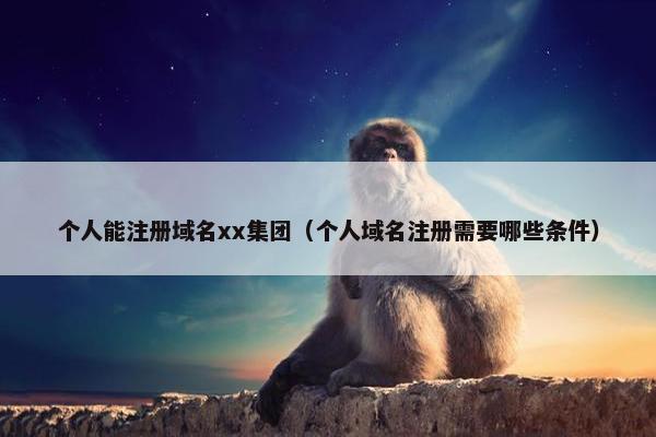 个人能注册域名xx集团（个人域名注册需要哪些条件）