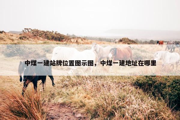 中煤一建站牌位置图示图，中煤一建地址在哪里