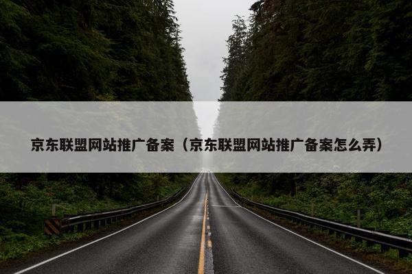 京东联盟网站推广备案（京东联盟网站推广备案怎么弄）
