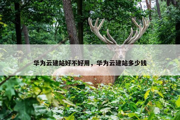 华为云建站好不好用，华为云建站多少钱