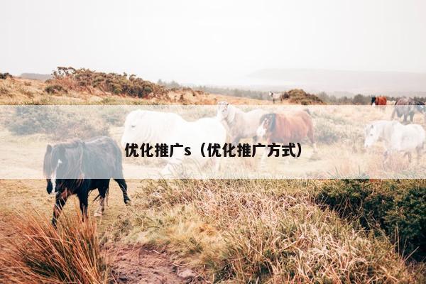 优化推广s（优化推广方式）