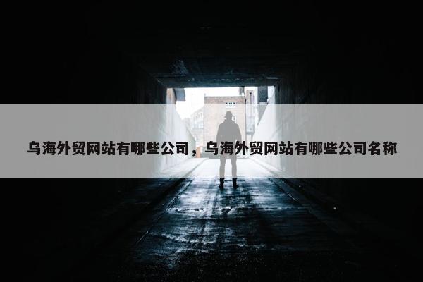 乌海外贸网站有哪些公司，乌海外贸网站有哪些公司名称