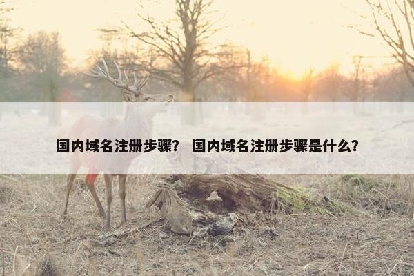 国内域名注册步骤？ 国内域名注册步骤是什么？