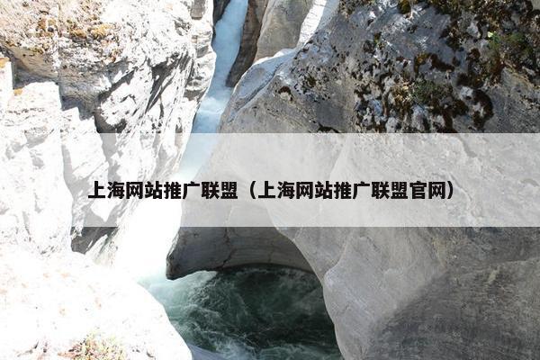 上海网站推广联盟（上海网站推广联盟官网）