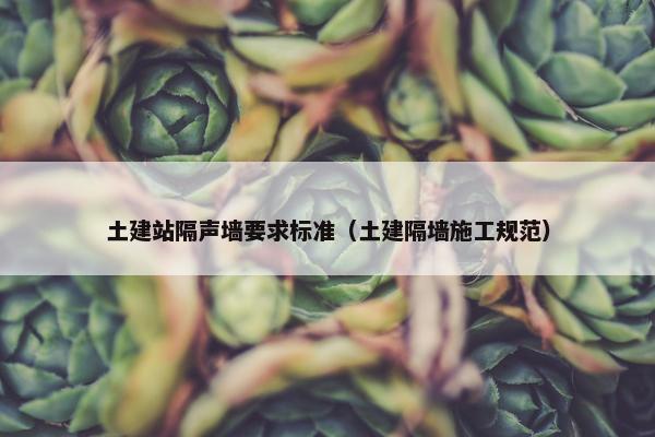 土建站隔声墙要求标准（土建隔墙施工规范）