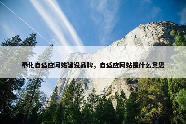 奉化自适应网站建设品牌，自适应网站是什么意思