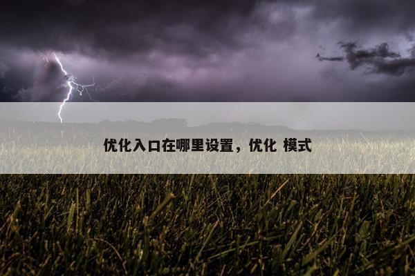 优化入口在哪里设置，优化 模式