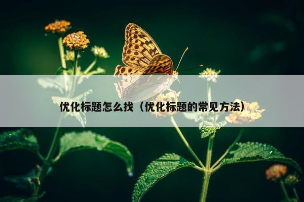 优化标题怎么找（优化标题的常见方法）
