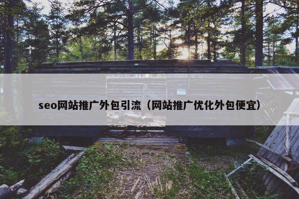 seo网站推广外包引流（网站推广优化外包便宜）