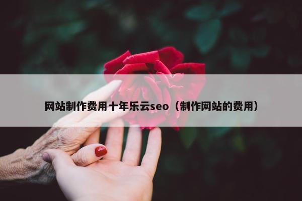 网站制作费用十年乐云seo（制作网站的费用）