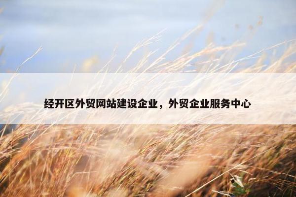 经开区外贸网站建设企业，外贸企业服务中心