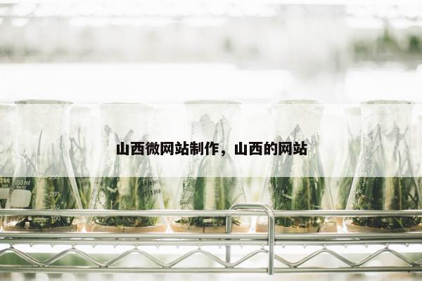 山西微网站制作，山西的网站