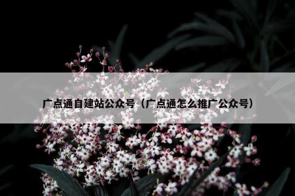 广点通自建站公众号（广点通怎么推广公众号）