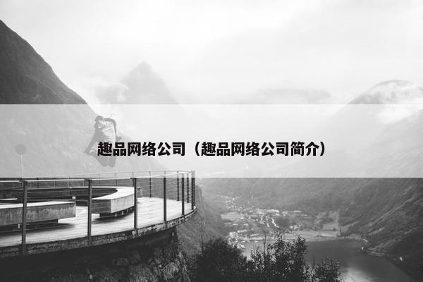 趣品网络公司（趣品网络公司简介）