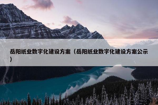 岳阳纸业数字化建设方案（岳阳纸业数字化建设方案公示）