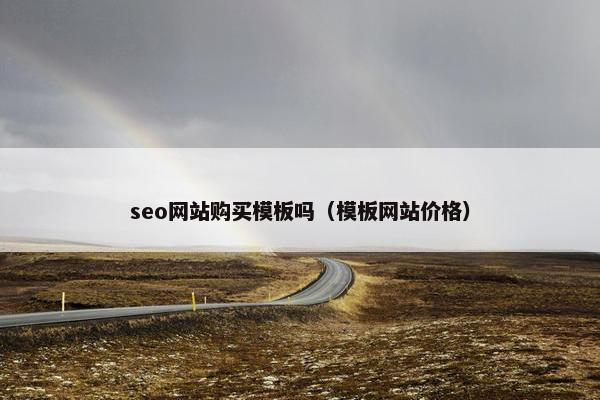 seo网站购买模板吗（模板网站价格）