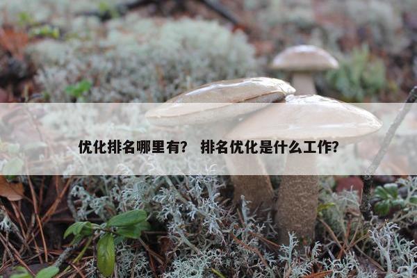 优化排名哪里有？ 排名优化是什么工作？