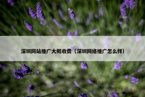 深圳网站推广大概收费（深圳网络推广怎么样）