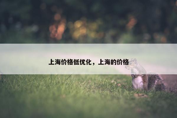 上海价格低优化，上海的价格