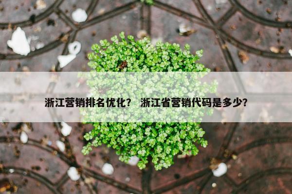浙江营销排名优化？ 浙江省营销代码是多少？