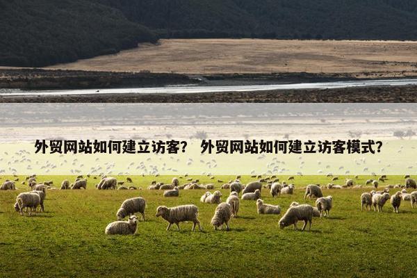 外贸网站如何建立访客？ 外贸网站如何建立访客模式？
