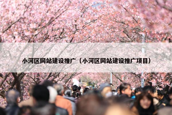 小河区网站建设推广（小河区网站建设推广项目）