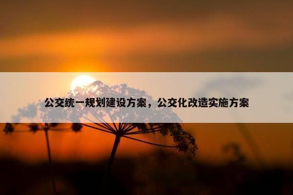公交统一规划建设方案，公交化改造实施方案